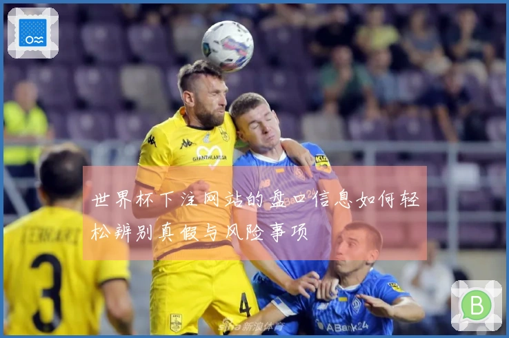 世界杯下注网站的盘口信息如何轻松辨别真假与风险事项