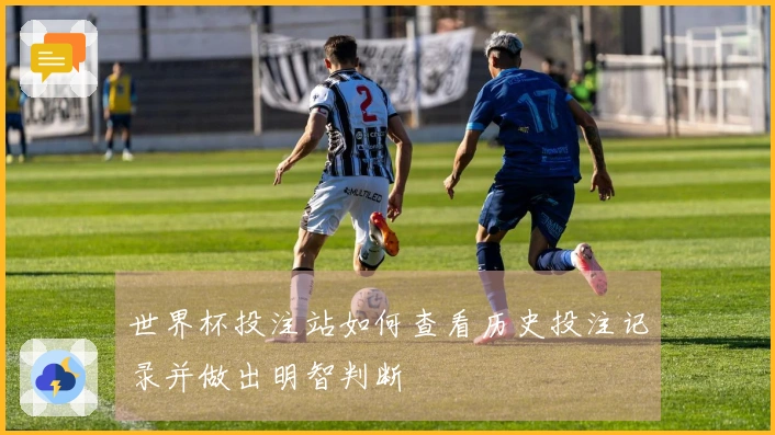 世界杯投注站如何查看历史投注记录并做出明智判断
