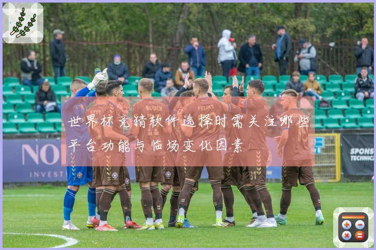 世界杯竞猜软件选择时需关注哪些平台功能与临场变化因素