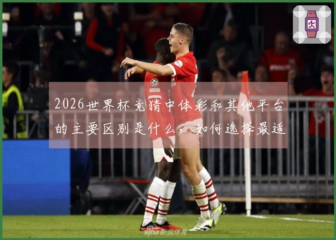 2026世界杯竞猜中体彩和其他平台的主要区别是什么，如何选择最适合的下注方式？