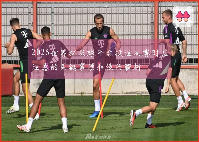 2026世界杯买球平台投注决赛时应注意的关键事项和技巧解析