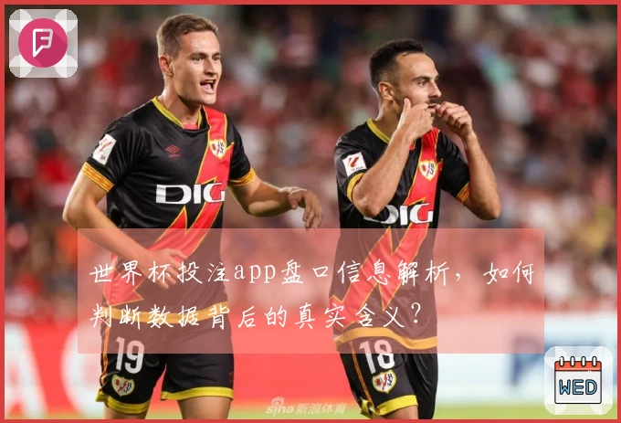 世界杯投注app盘口信息解析，如何判断数据背后的真实含义？