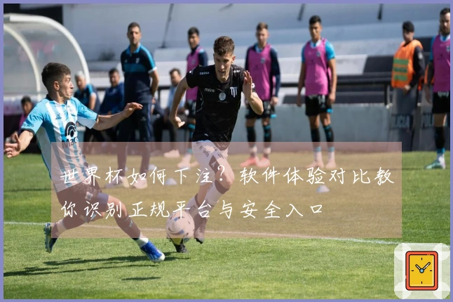 世界杯如何下注？软件体验对比教你识别正规平台与安全入口