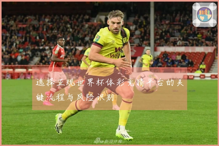 选择正规世界杯体彩竞猜平台的关键流程与风险识别