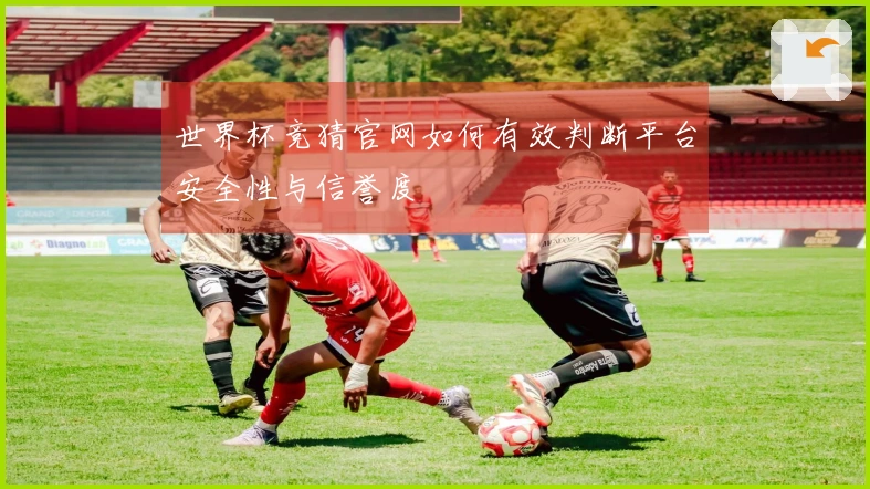 世界杯竞猜官网如何有效判断平台安全性与信誉度