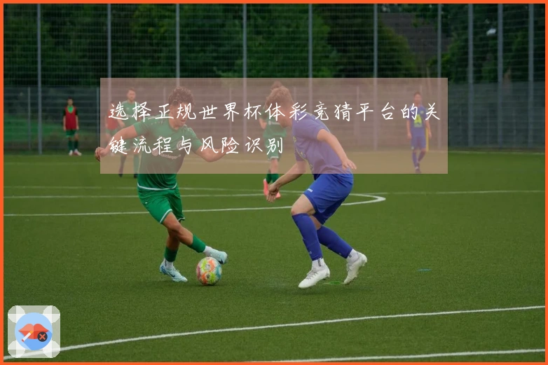 选择正规世界杯体彩竞猜平台的关键流程与风险识别