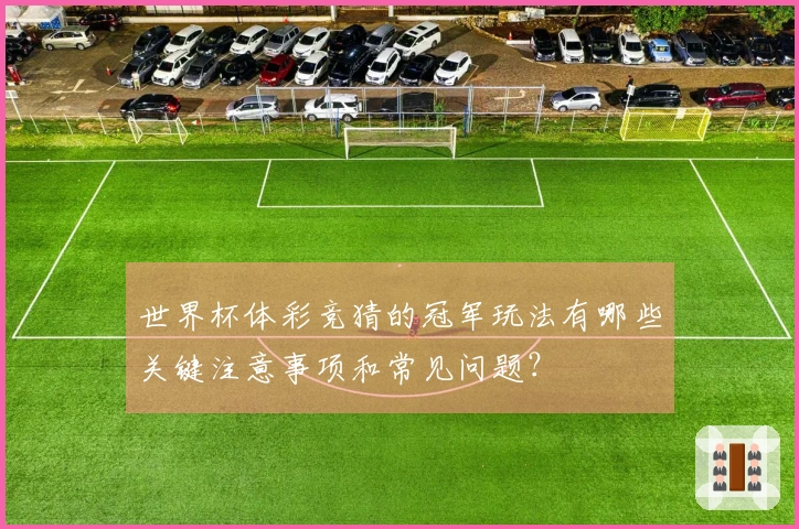 世界杯体彩竞猜的冠军玩法有哪些关键注意事项和常见问题？