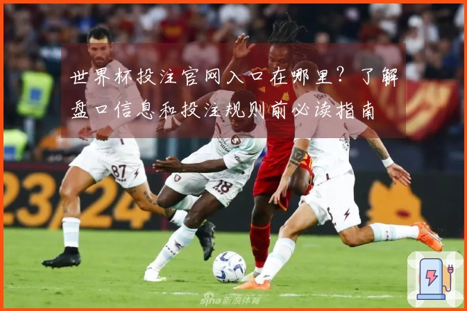 世界杯投注官网入口在哪里？了解盘口信息和投注规则前必读指南
