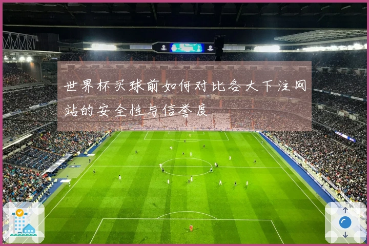 世界杯买球前如何对比各大下注网站的安全性与信誉度