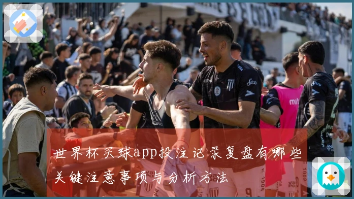 世界杯买球app投注记录复盘有哪些关键注意事项与分析方法