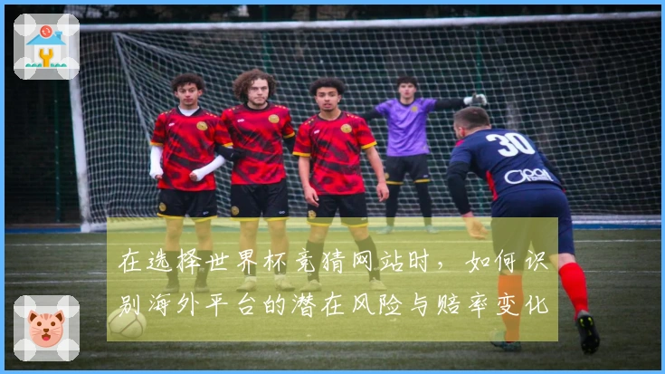 在选择世界杯竞猜网站时，如何识别海外平台的潜在风险与赔率变化？