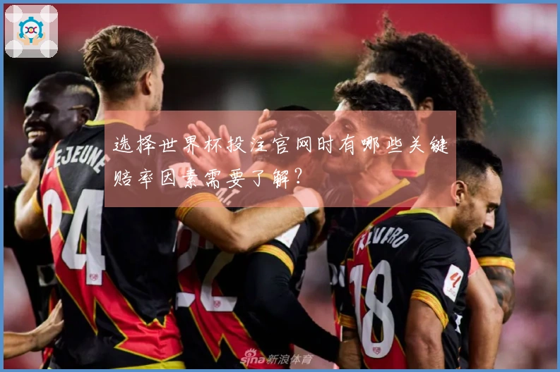 选择世界杯投注官网时有哪些关键赔率因素需要了解？
