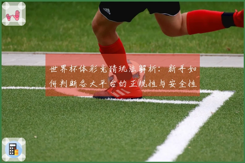 世界杯体彩竞猜玩法解析：新手如何判断各大平台的正规性与安全性