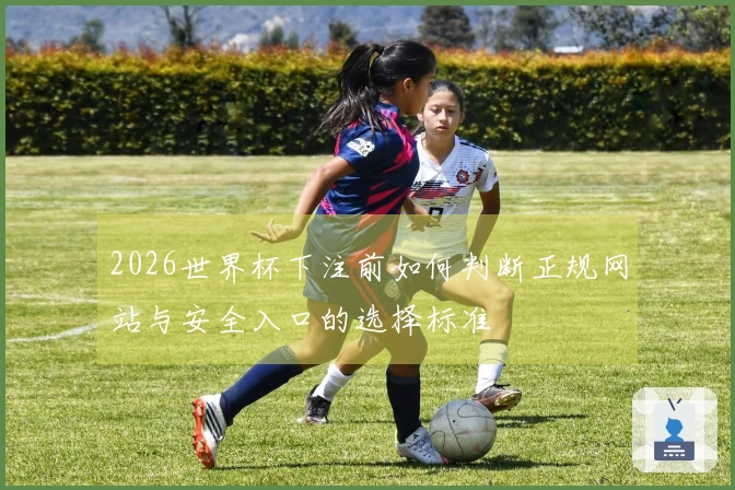 2026世界杯下注前如何判断正规网站与安全入口的选择标准