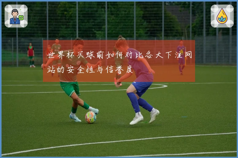 世界杯买球前如何对比各大下注网站的安全性与信誉度