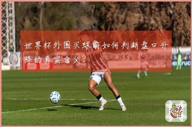 世界杯外围买球前如何判断盘口升降的真实含义？