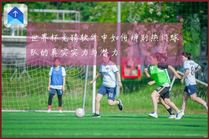 世界杯竞猜软件中如何辨别热门球队的真实实力与潜力
