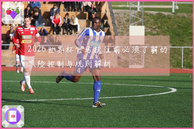 2026世界杯官方投注前必须了解的风险控制与规则解析