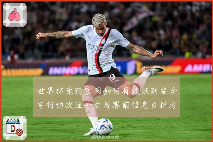 世界杯竞猜官网如何有效识别安全可行的投注平台与赛前信息分析方法