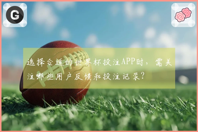 选择合适的世界杯投注APP时，需关注哪些用户反馈和投注记录？