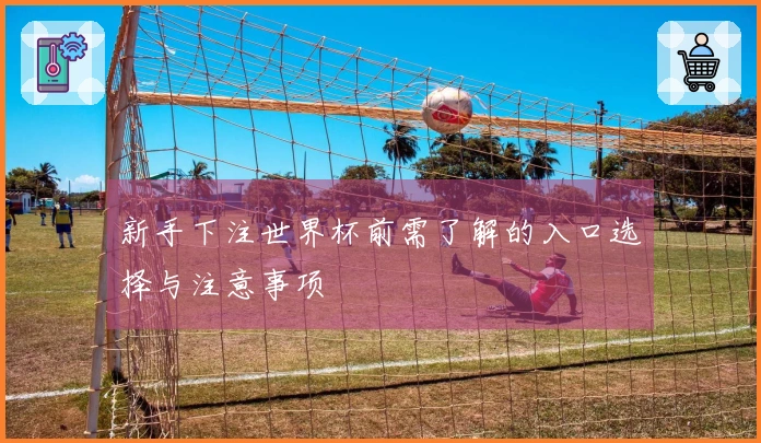 新手下注世界杯前需了解的入口选择与注意事项