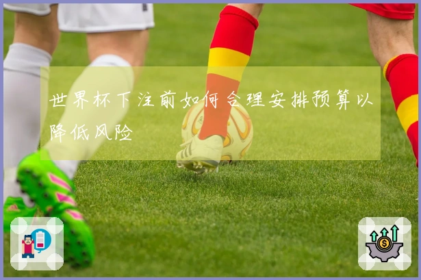 世界杯下注前如何合理安排预算以降低风险