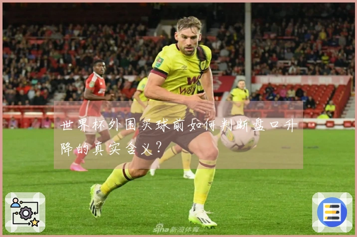 世界杯外围买球前如何判断盘口升降的真实含义？