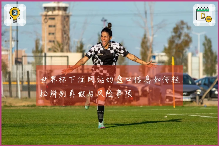 世界杯下注网站的盘口信息如何轻松辨别真假与风险事项