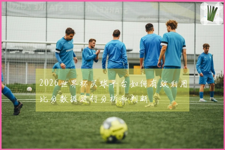2026世界杯买球平台如何有效利用比分数据进行分析和判断