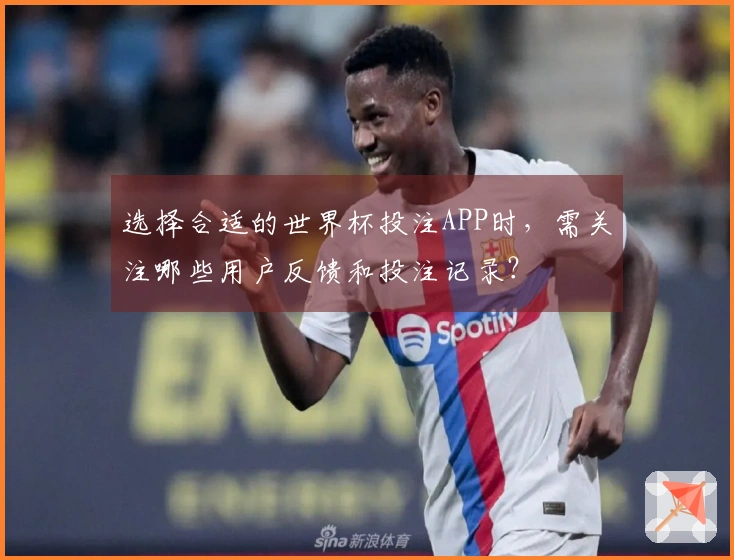 选择合适的世界杯投注APP时，需关注哪些用户反馈和投注记录？