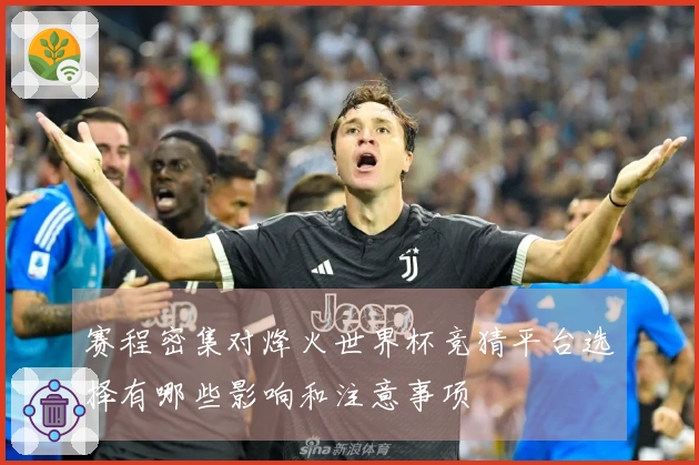 赛程密集对烽火世界杯竞猜平台选择有哪些影响和注意事项
