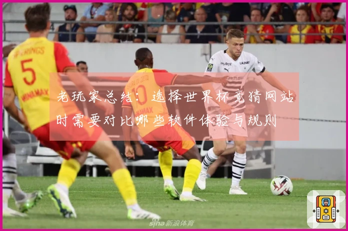 老玩家总结：选择世界杯竞猜网站时需要对比哪些软件体验与规则