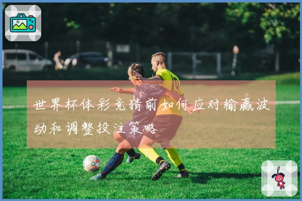 世界杯体彩竞猜前如何应对输赢波动和调整投注策略