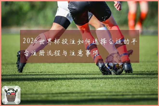 2026世界杯投注如何选择合适的平台注册流程与注意事项