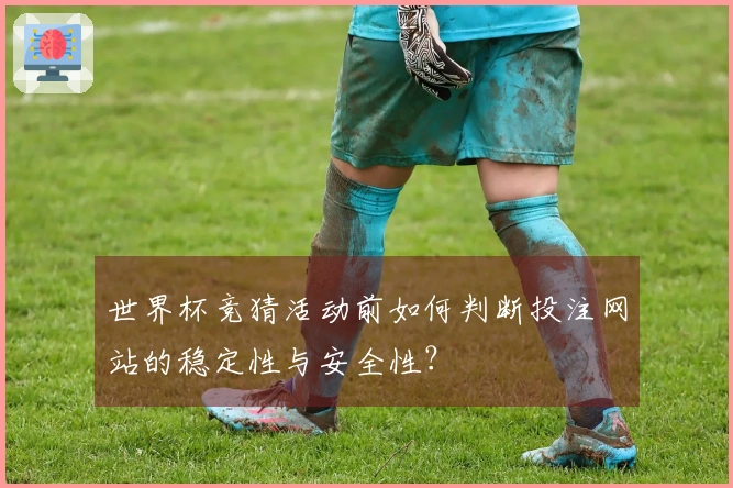 世界杯竞猜活动前如何判断投注网站的稳定性与安全性？