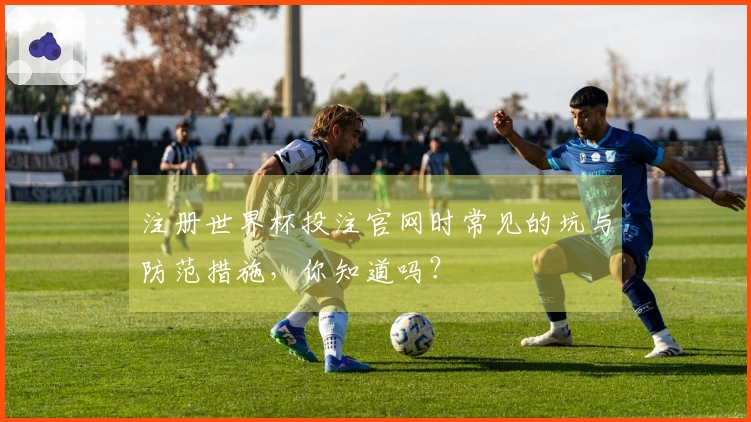 注册世界杯投注官网时常见的坑与防范措施，你知道吗？