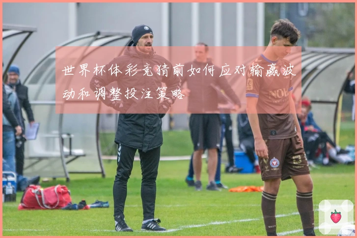 世界杯体彩竞猜前如何应对输赢波动和调整投注策略