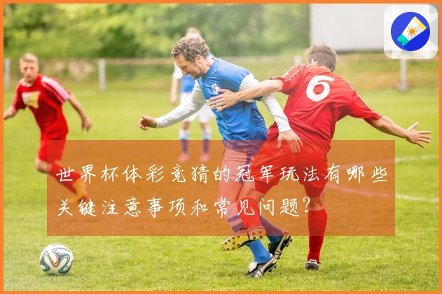 世界杯体彩竞猜的冠军玩法有哪些关键注意事项和常见问题？