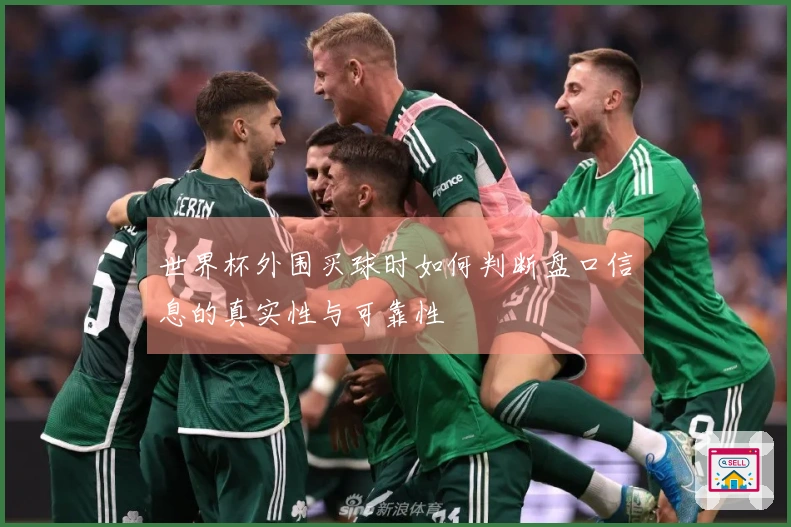 世界杯外围买球时如何判断盘口信息的真实性与可靠性